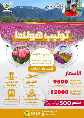 توليب هولندا