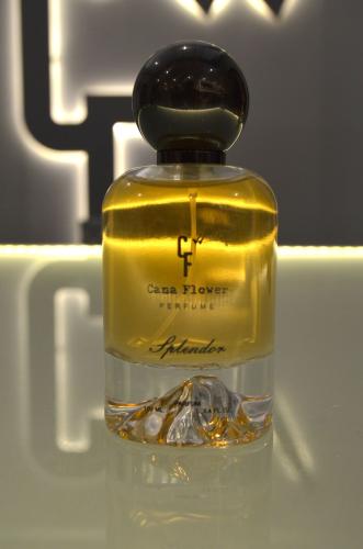 عطر Turvan