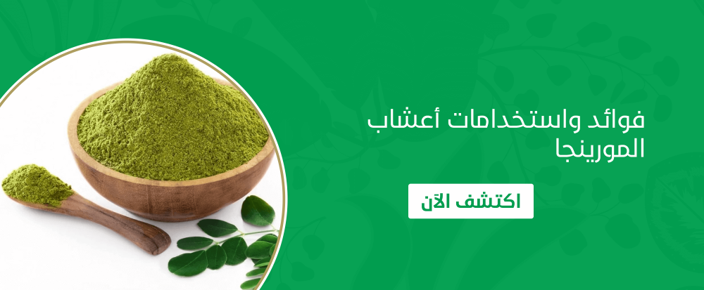 أعشاب المورينجا