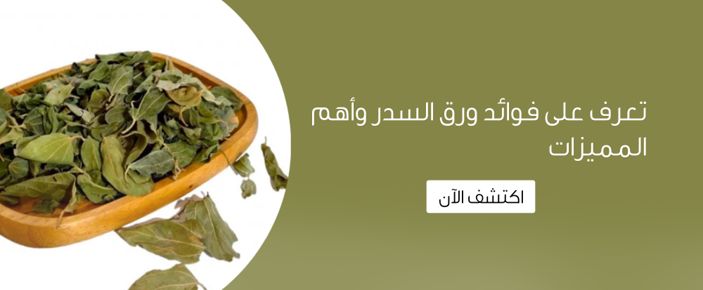 تعرف على فوائد ورق السدر وأهم المميزات