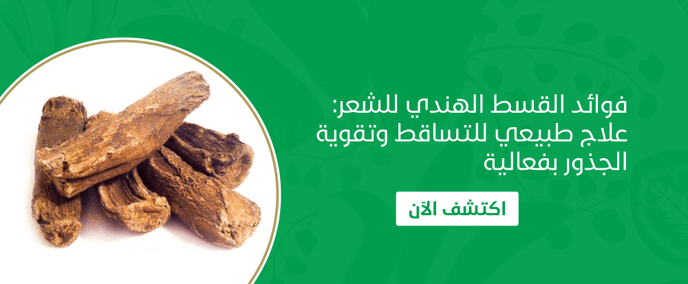 فوائد القسط الهندي للشعر