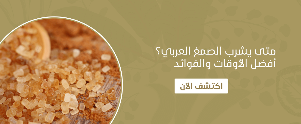 متى يشرب الصمغ