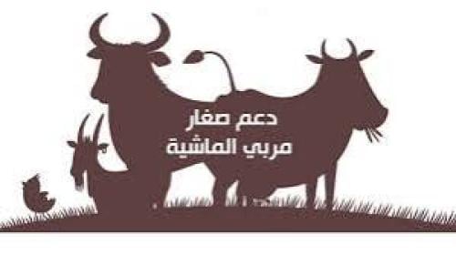تقديم دعم المواشي