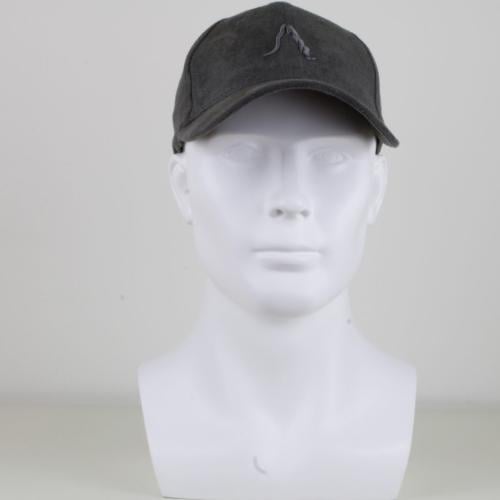 DKGY CAP-FNT LOGO-CLSD BCK
