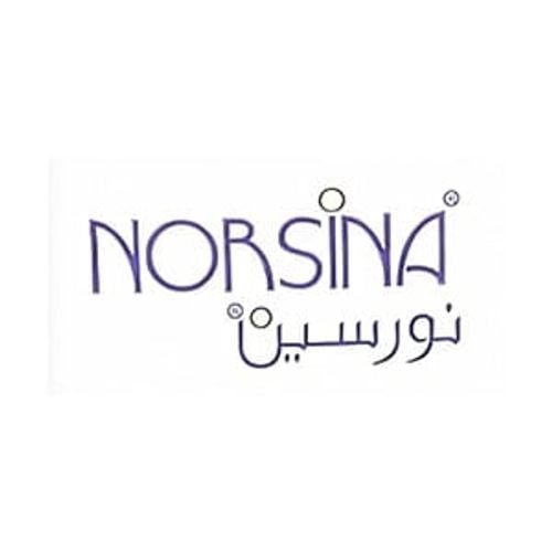 Norsina