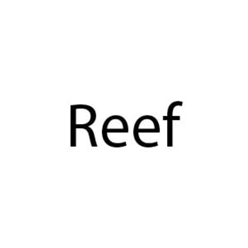 Reef