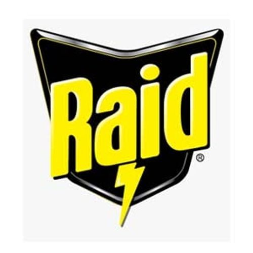 Raid