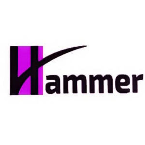 Hammer