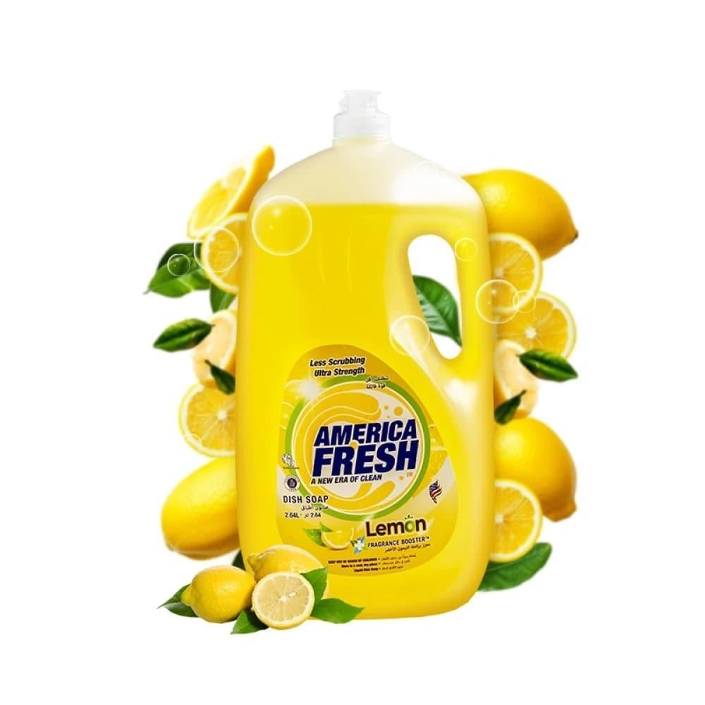 غسيل صحون أمريكا فريش