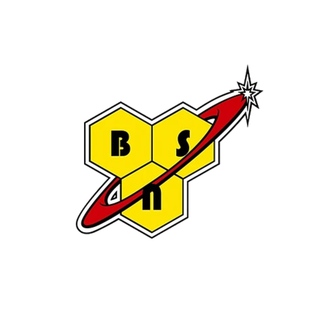 BSN
