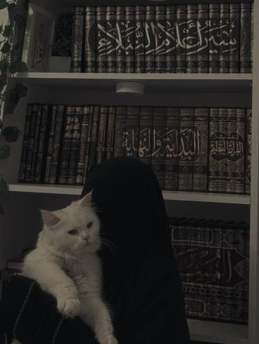 السنن المهجوره