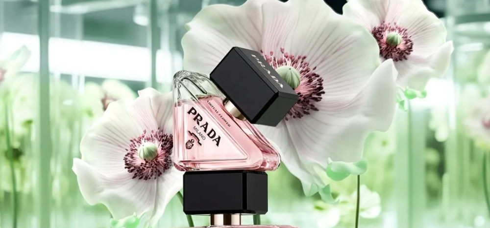 افضل العطور النسائية 2025