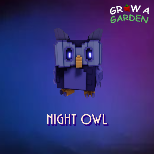 Night Owl