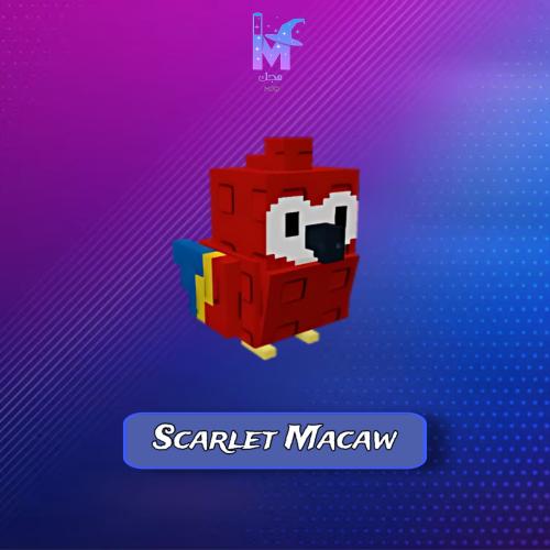 Scarlet Macaw