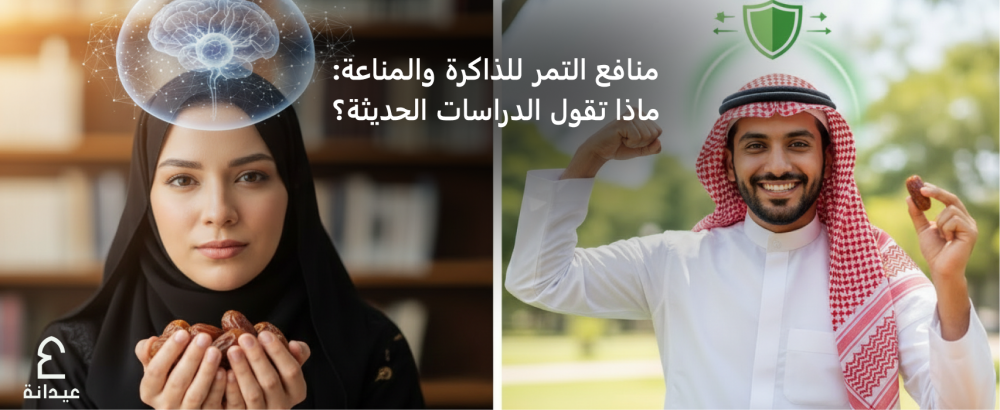 منافع التمر للذاكرة والمناعة فوائد التمر للجسم: ماذا تقول الدراسات الحديثة