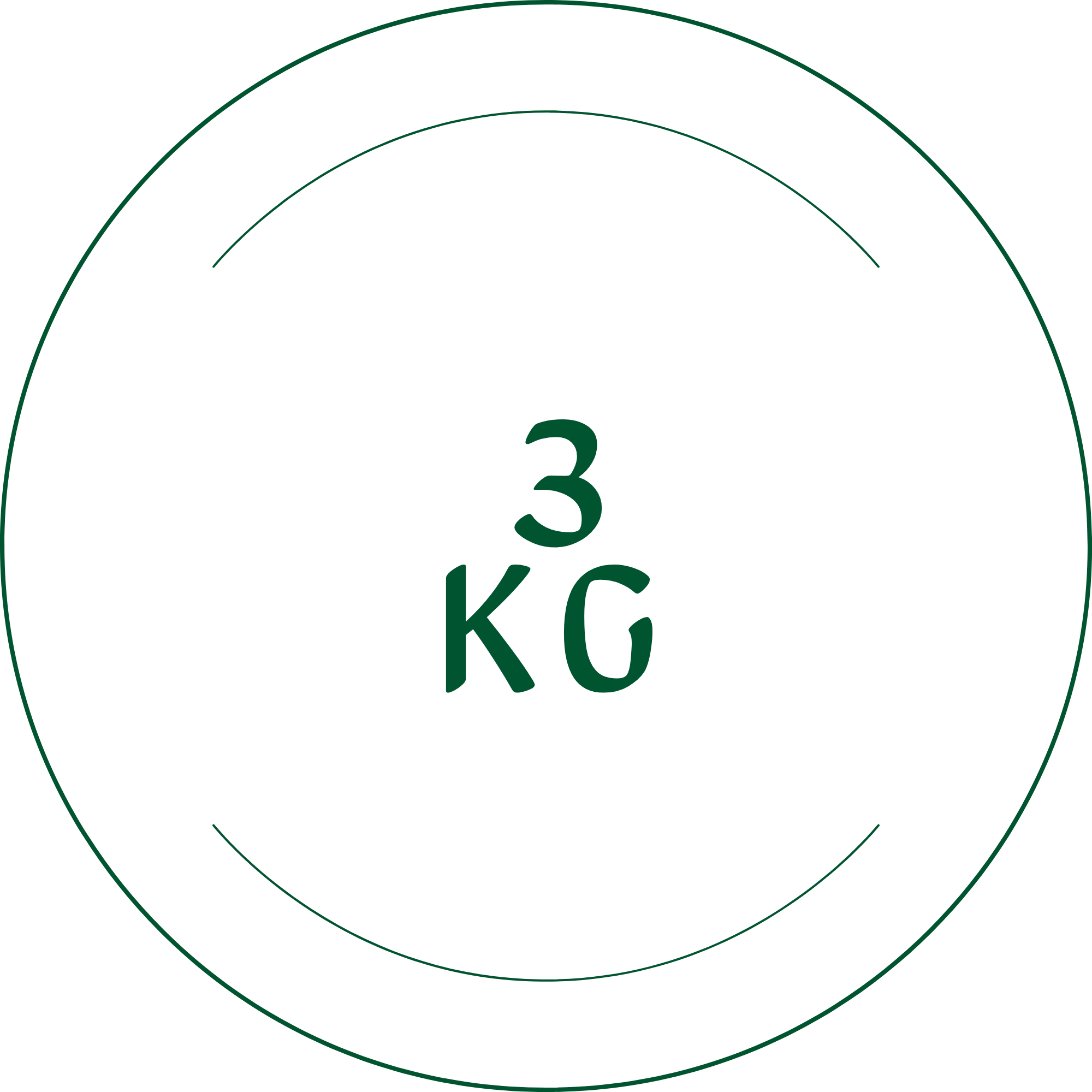 3 Kg
