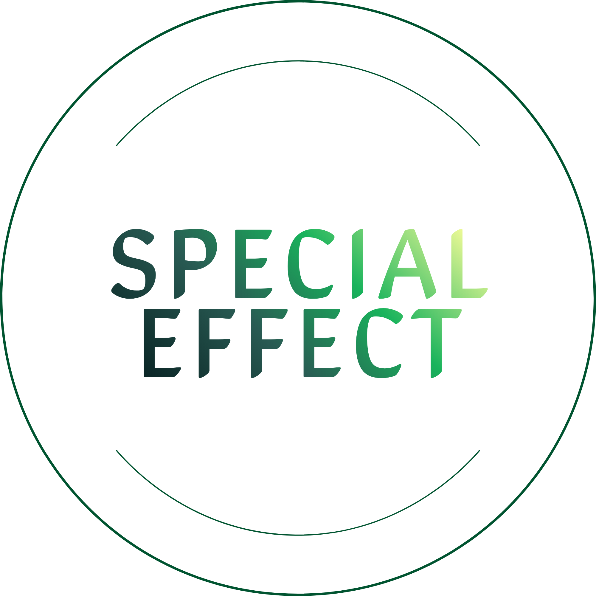 Special Effect