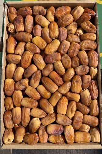 رشودية فاخر