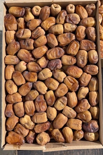 نبتة علي فاخر