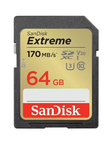 SanDisk 64GB memory card