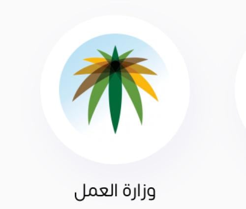 خدمات وزاره العمل الأخرى