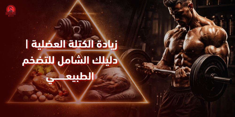 أسرار زيادة الكتلة العضلية طبيعياً: المثلث الذهبي (تمرين، غذاء، راحة)