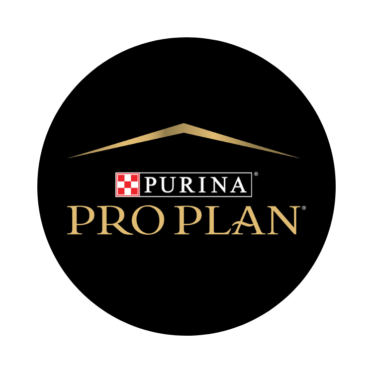 بورينا برو بلان