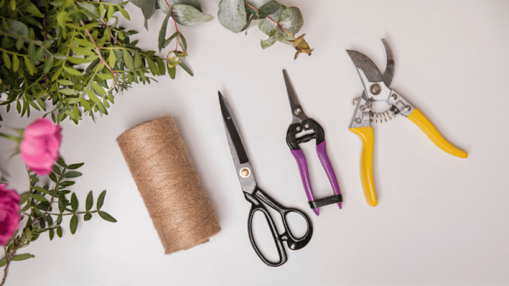 أدوات تنسيق الورد الأساسية — ما تحتاجه لتبدأ من الصفر