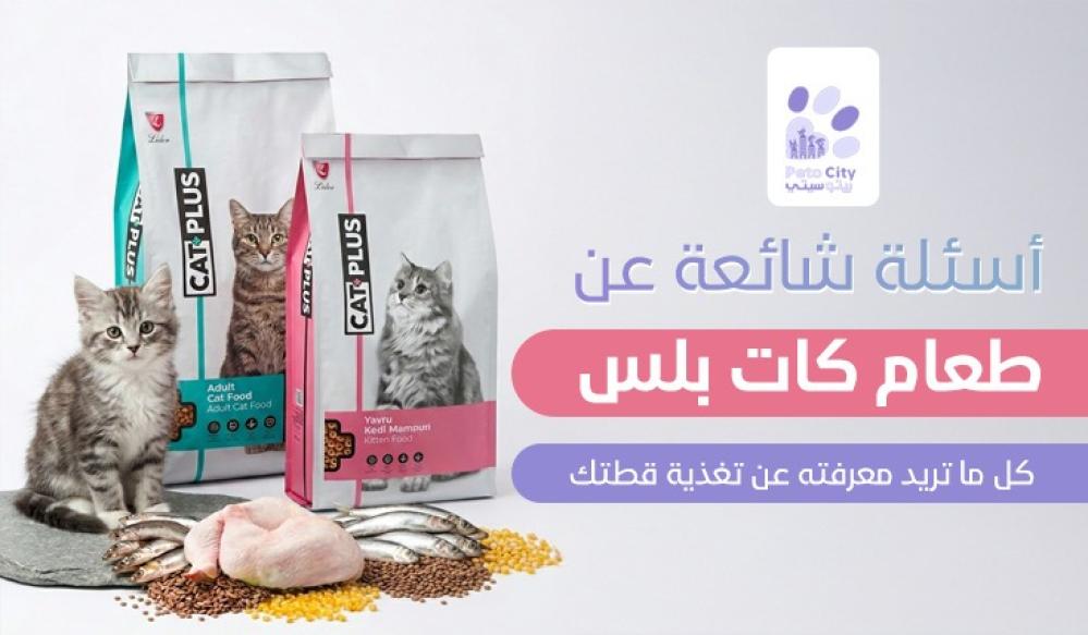 أسئلة شائعة عن طعام كات بلس: كل ما تريد معرفته عن تغذية قطتك