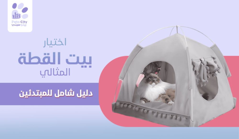 اختيار بيت القطة المثالي: دليل شامل للمبتدئين