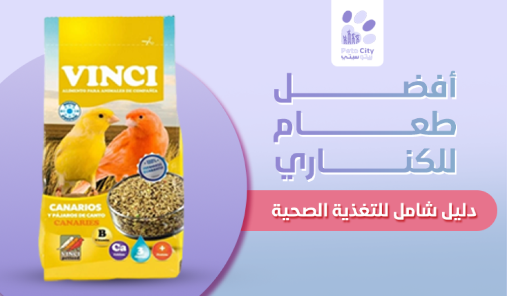 أفضل طعام للكناري: دليل شامل للتغذية الصحية