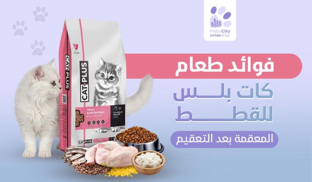 فوائد طعام كات بلس للقطط المعقمة بعد التعقيم