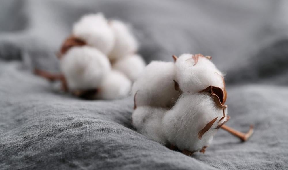 فوائد القطن الممشط الفائق SUPER COMBED COTTON