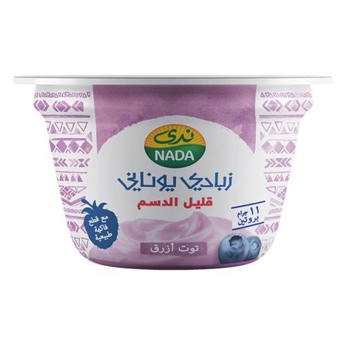 ندى زبادي يوناني توت أزرق 160 جرام