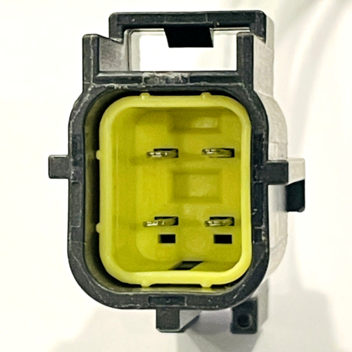 فيش حساس شكمان دوج ذكر