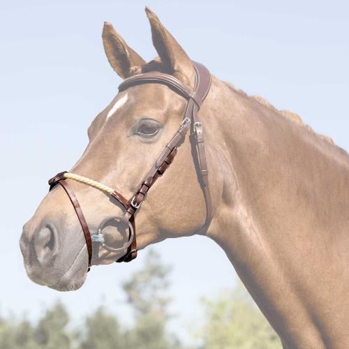 Acavallo® flash noseband made of the highest quali...