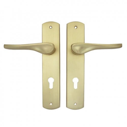 مقبض باب لون ذهبي مطفي