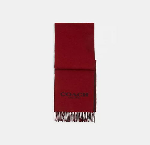 Women's soft ombre shawl, branded by Calvin Klein - مون اوتليت