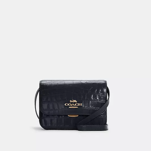 Coach crocodile skin bag hot sale