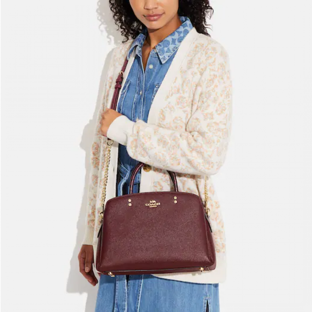 Coach lily online bag