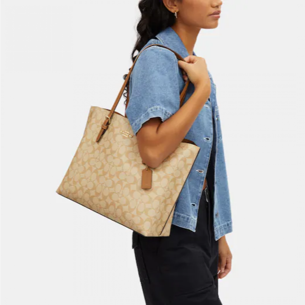 Coach mollie discount shoulder bag