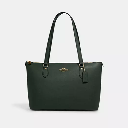 Coach bag best sale the bay