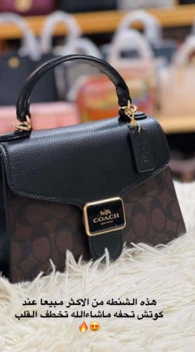 Coach bag price list original sale