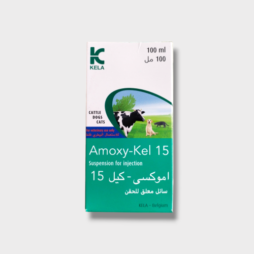 اموكسي كيل 15% بنسلين طويل المفعول حقن 100مل
