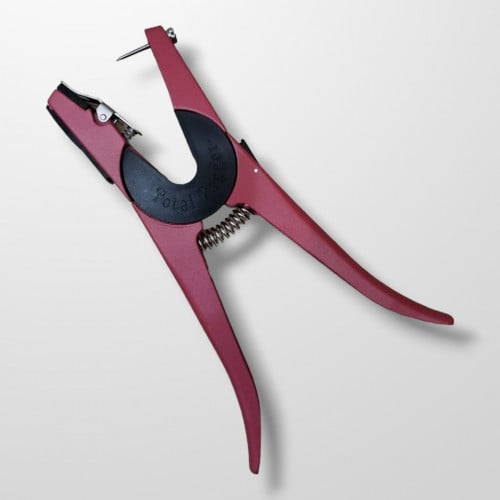 رقامة صيني بسن