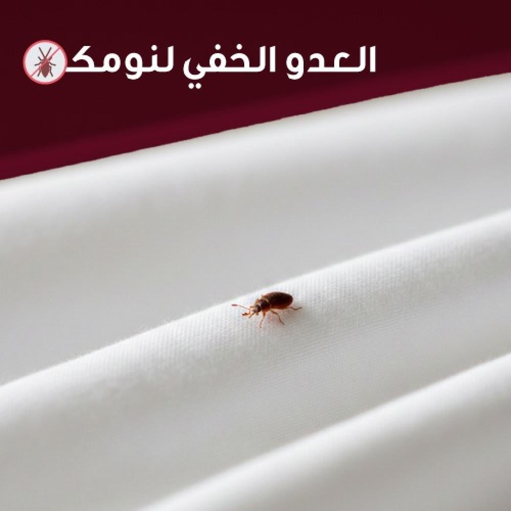 عث الفراش : العدو الخفي لنومك