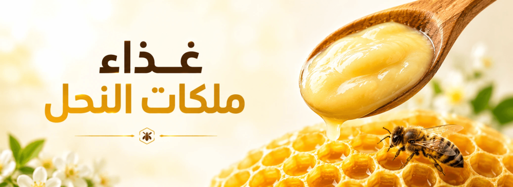 ما هو غذاء ملكات النحل؟ الفوائد والاستخدامات وأهم المعلومات