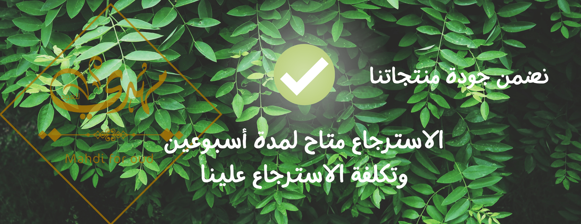 مهدي للعود image-slider-1