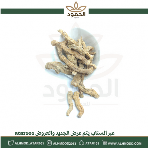 رجل الأسد