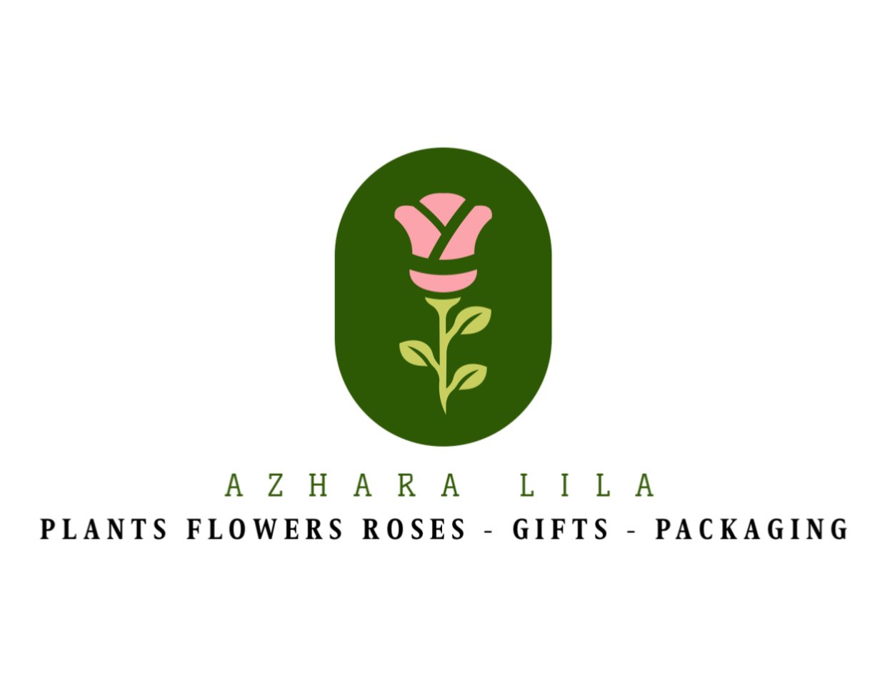 store avatar